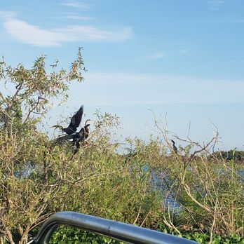Marsh Beast Airboat Tours - Boat Tours Near Me - Vero Beach, Florida Marsh Beast Airboat Tours - Boat Tours Near Me - Vero Beach, Florida