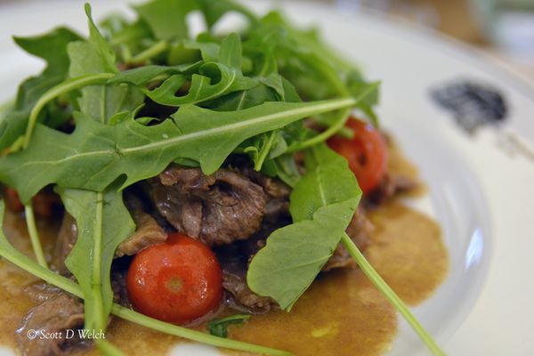 Ristorante Fortunato al Pantheon by null
