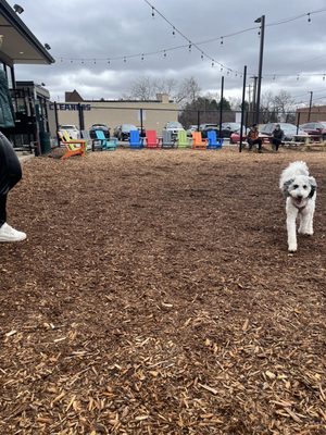 Barkside Detroit by null