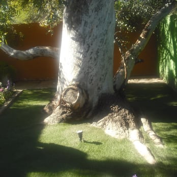 Xeroscapes - Xeroscapes even does "Hobbit Trees". Notice the intricate cutting in of the turf around the raised roots. - Landscaping Near Me