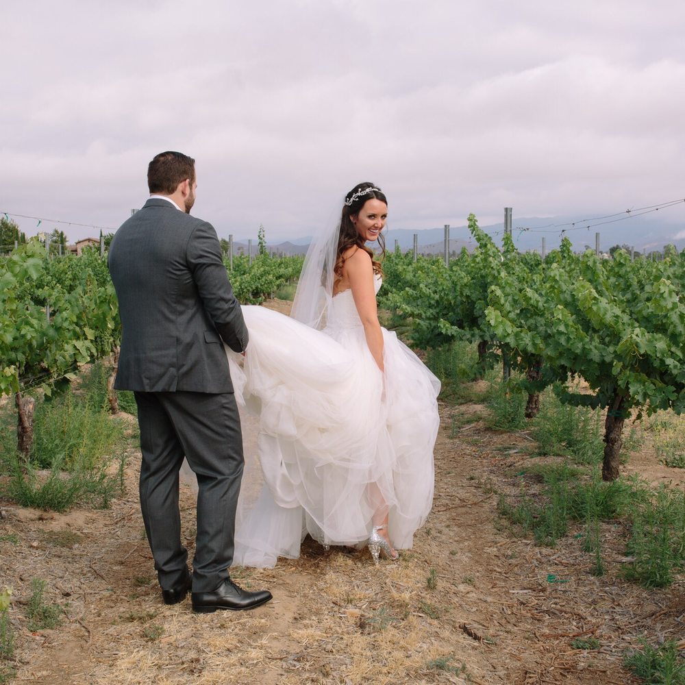 Laarne - In the vines at Ponte Vineyard - Event Photography Near Me Laarne - In the vines at Ponte Vineyard - Event Photography Near Me