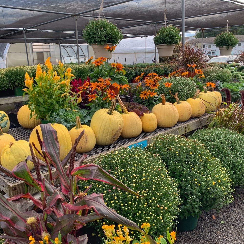 Andersen Farms - Fall colors - Farms Near Me - Sparta, New Jersey
