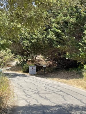 Bob Jones Trail Head by null