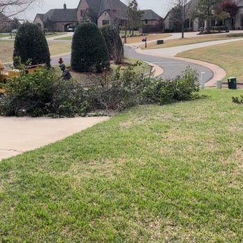 Ricardo’s Tree Service - Cleaning up. - Tree Services Near Me - Piedmont, Oklahoma Ricardo’s Tree Service - Cleaning up. - Tree Services Near Me - Piedmont, Oklahoma