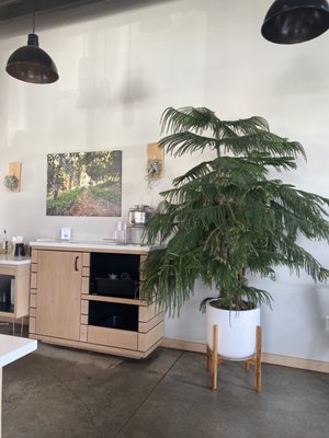 Backporch Coffee Roasters by null