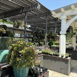 The Standard Design Group Nurseries