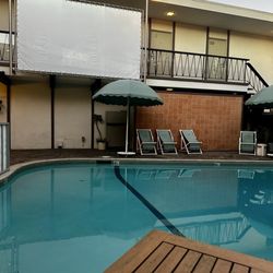 Ponyboy - Poolside seating