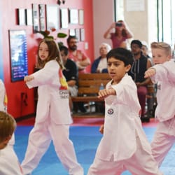 Champion Taekwondo