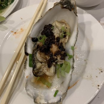 Jade Garden - Cooked Oyster w/ Black Bean Sauce. Jade Garden, Boston, Mass. - Chinese Near Me - Boston, Massachusetts Jade Garden - Cooked Oyster w/ Black Bean Sauce. Jade Garden, Boston, Mass. - Chinese Near Me - Boston, Massachusetts