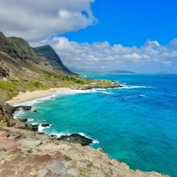 Escape Waikiki Tours