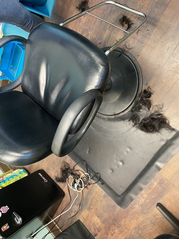 LILY OF THE TIGER Request an Appointment 5101 25th Ave NE, Seattle