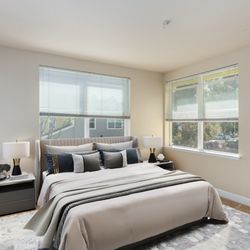 Chestnut Street Apartments