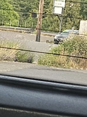 Tsugawa Nursery & Greenhouses