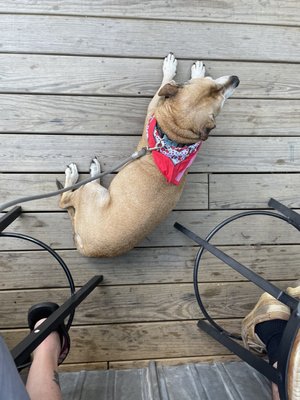 Bitters & Bones by null