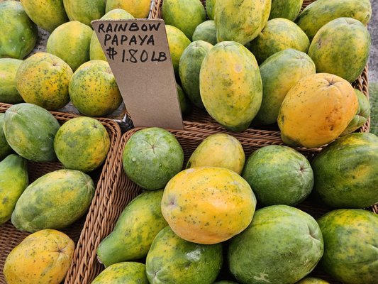 HFBF Honolulu Farmers’ Market by null