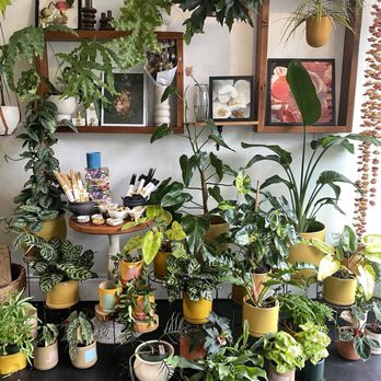 Starflower - Florists Near Me - Portland, Oregon Starflower - Florists Near Me - Portland, Oregon