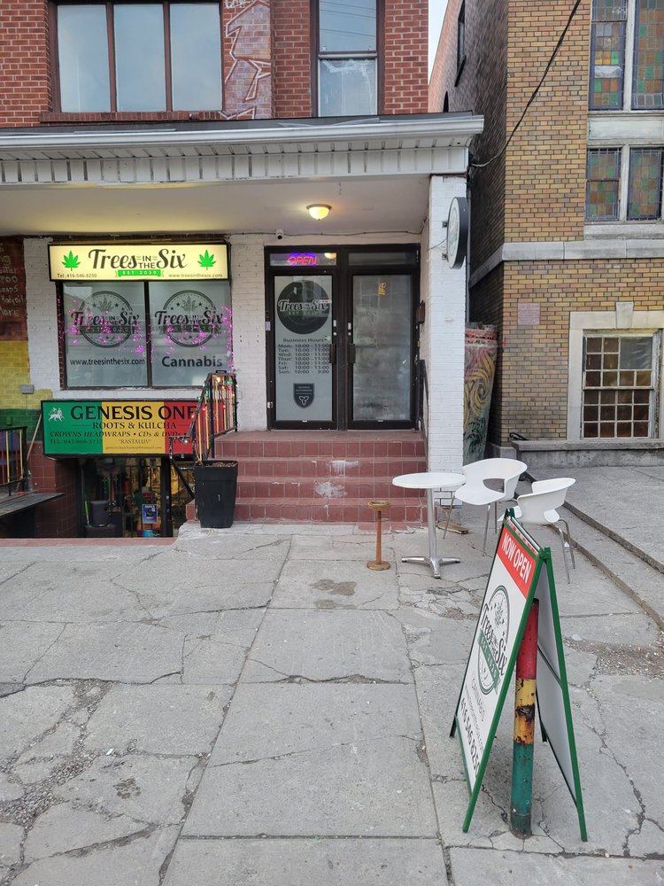 TREE’S IN THE SIX Updated September 2024 14 St Andrew Street