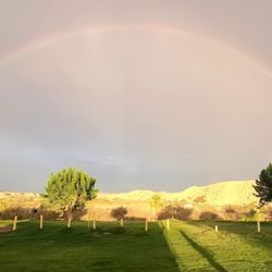 McIntyre RV Resort - The beauty never ceases at McIntyre RV Resort!