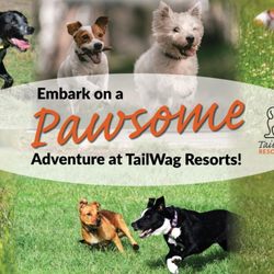 TailWag Resorts - We set a new standard for dog care in your area. We offer expansive playfields, tailored activities & loving care! Call / text: 650-450-6474