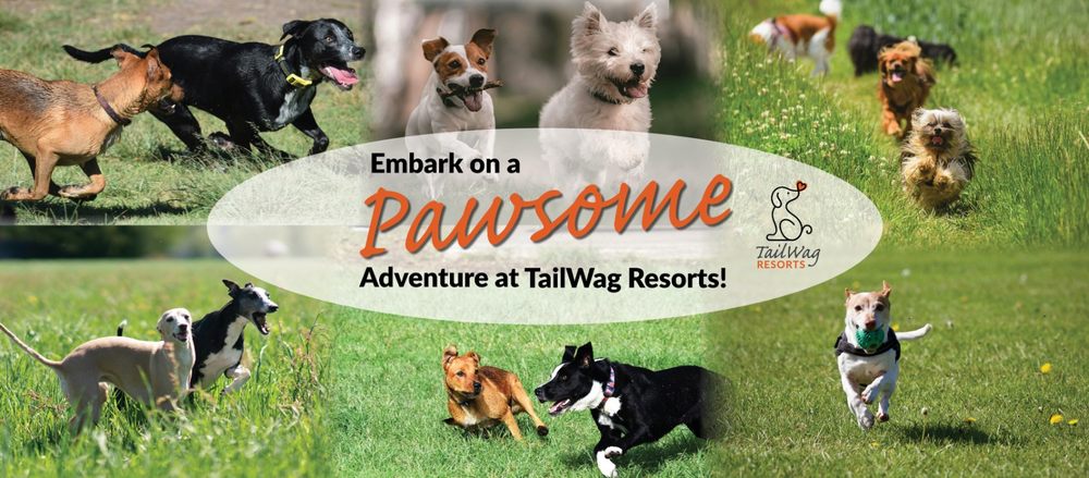 TailWag Resorts - pet boarding facility in Escondido, CA