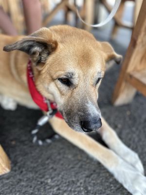 Fortside Brewing Company by null