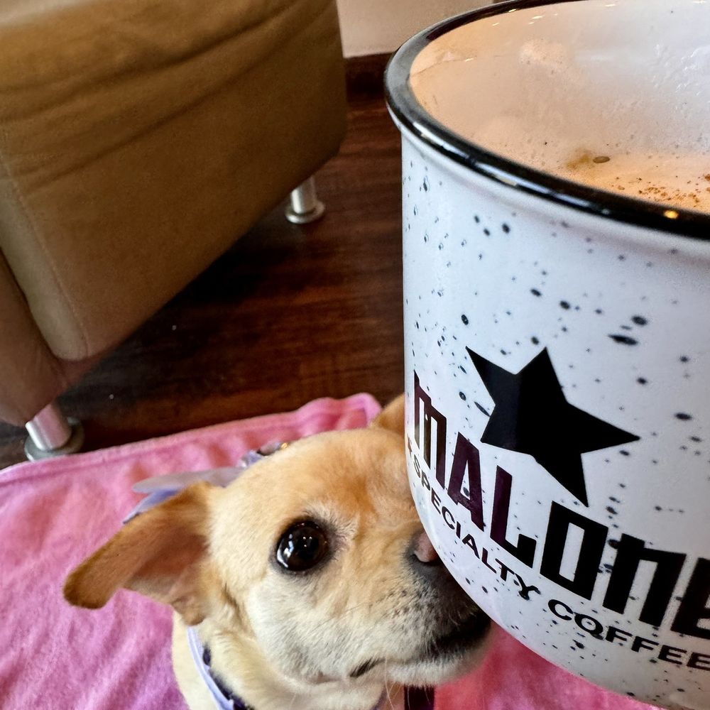 Chrissy trying to get that Cappuccino! Chrissy trying to get that Cappuccino!