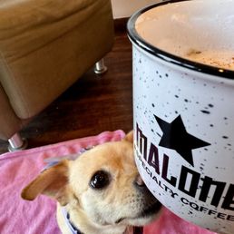 Chrissy trying to get that Cappuccino! Chrissy trying to get that Cappuccino!