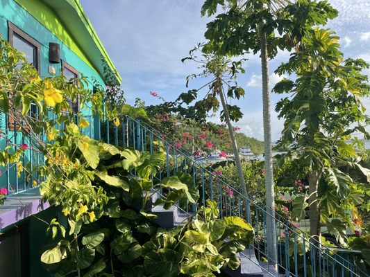 St. John Inn by null