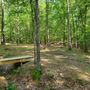 Professional Disc Golf Association