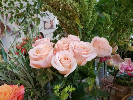 Le Jardin Français Boutique by null