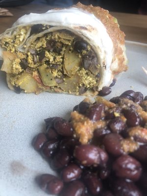 Fancy Plants Kitchen by null