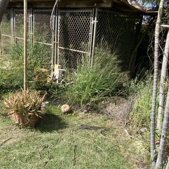 Sage Landscaping - Landscaping Near Me