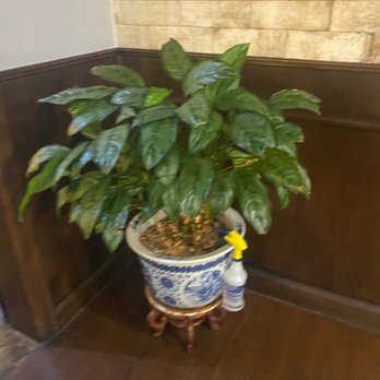 Szechuan Bistro - Szechuan Near Me - Oklahoma City, Oklahoma