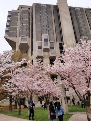 John P. Robarts Research Library by null