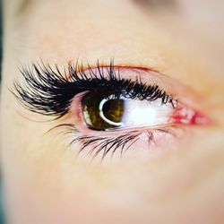 Natural Beauty Permanent Cosmetics By Kelly - NOVALASH eyelash extensions by Lianne