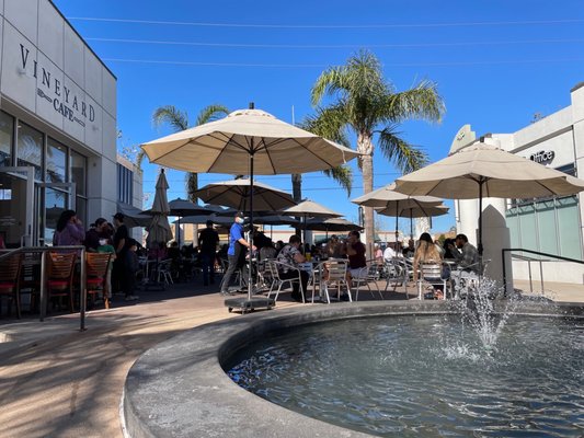 Vineyard cafe by null