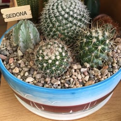 Manzanita Market