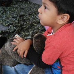 Bamboleo Kids - Spanish Immersion Program
