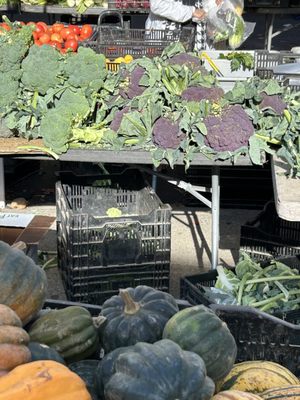 Forest Hills Greenmarket by null