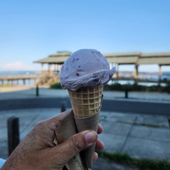 Elevated Ice Cream & Candy Shop - Strawberry - Candy Stores Near Me - Port Townsend, Washington Elevated Ice Cream & Candy Shop - Strawberry - Candy Stores Near Me - Port Townsend, Washington