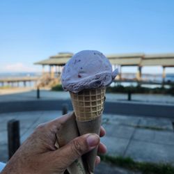 Elevated Ice Cream & Candy Shop - Strawberry