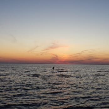 Fontainebleau State Park - Sunset - Parks Near Me - Mandeville, Louisiana