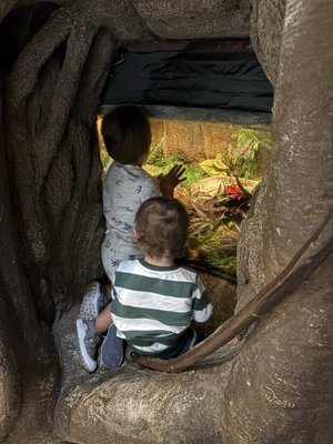 Staten Island Zoo by null