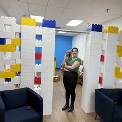 Bricks And Minifigs