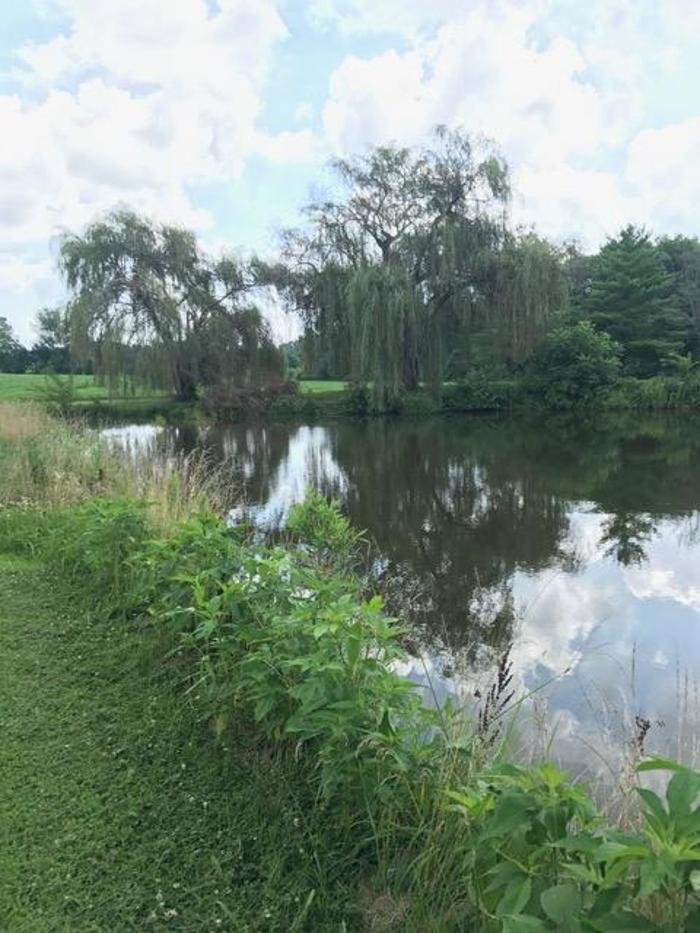 Slide of American Homespec