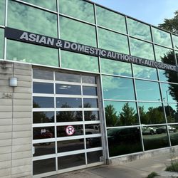 Asian Domestic Authority - Line up early.