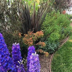 JW Garden & Design - Lovely lawn border! Summer 2017 - JWG&D