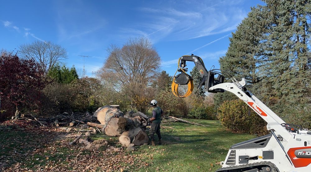 LUTZ LANDSCAPING & MANAGEMENT Updated April 2024 Request a Quote