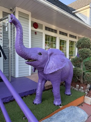The Purple Elephant by null
