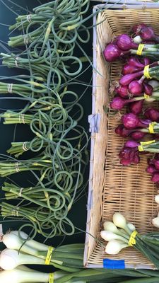 Magnolia Farmers Market by null